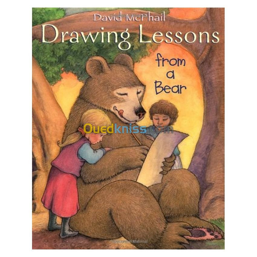 Drawing Lessons from a Bear