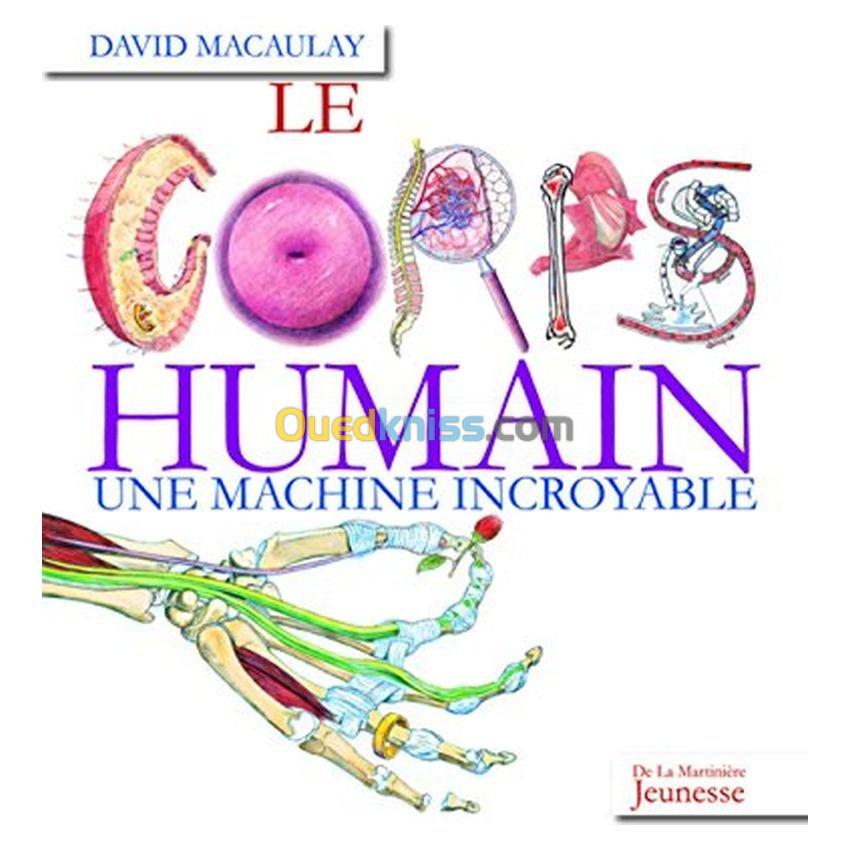 Corps humain : une machine incroyable (le)