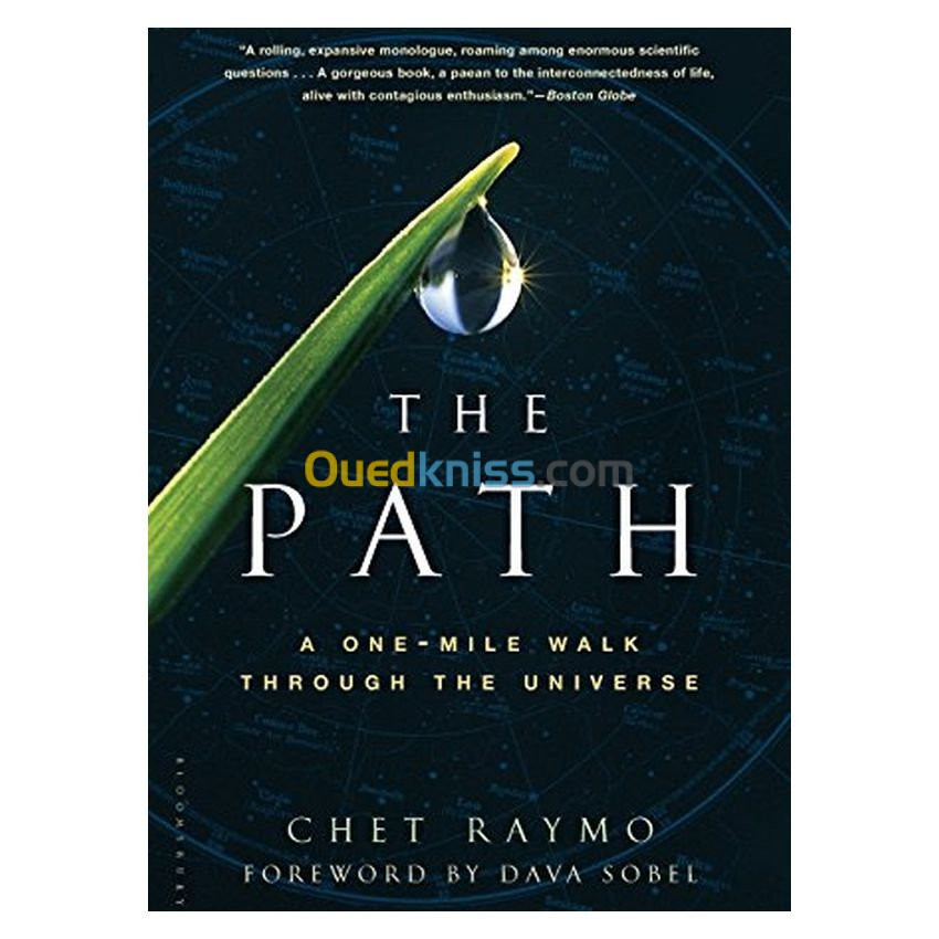 The Path: A One-Mile Walk Through the Universe