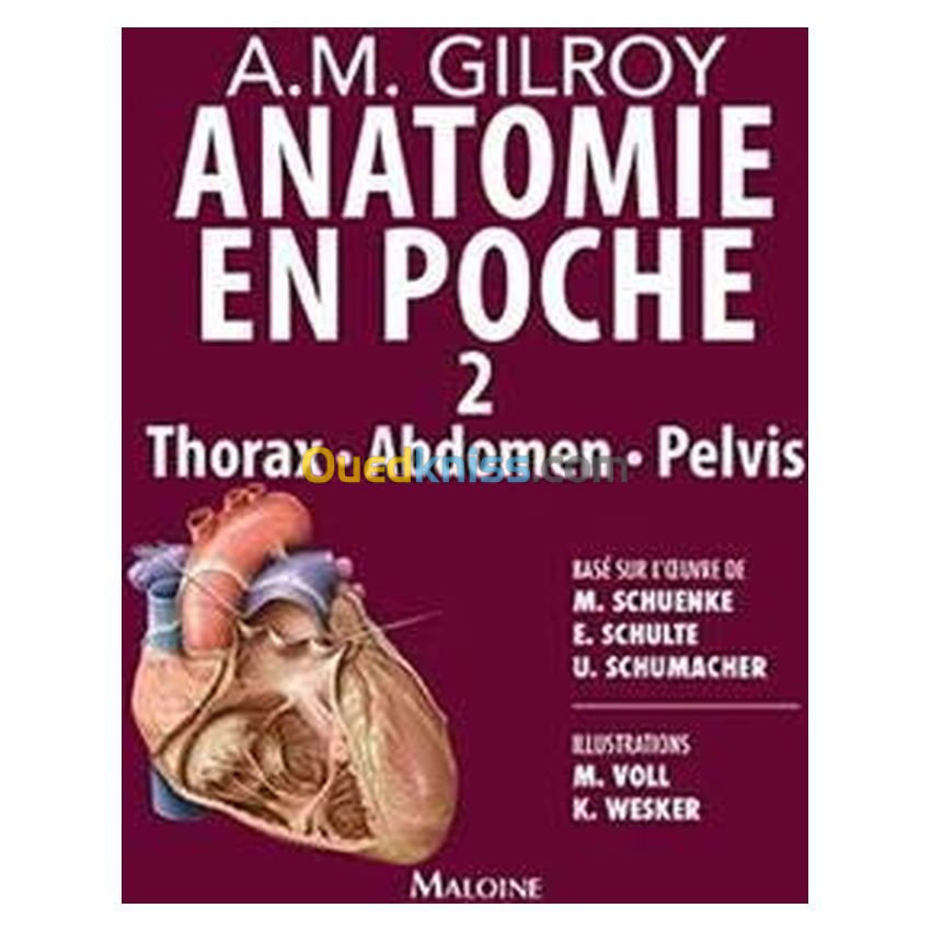 Anatomie en poche Vol 2