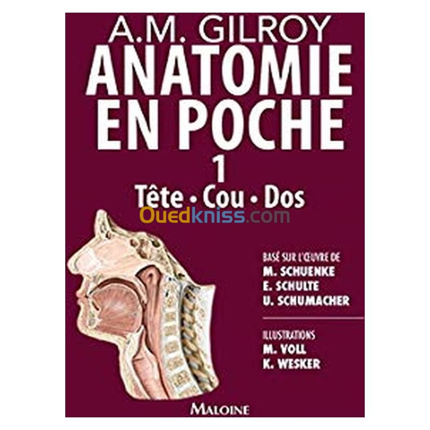 Anatomie en poche Vol 1