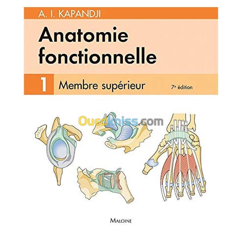 Anatomie fonctionnelle membre inférieur. T1, 7e éd.