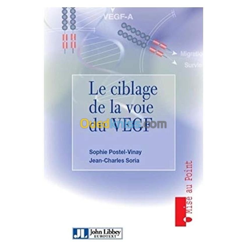 Le ciblage de la voie du VEGF