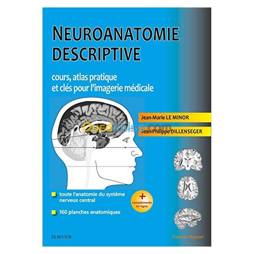 Neuroanatomie descriptive : cours, atlas pratique et clés pour l'imagerie médicale