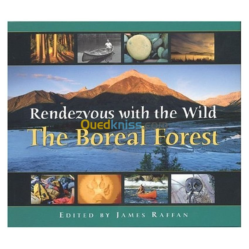 Rendezvous With The Wild: The Boreal Forest