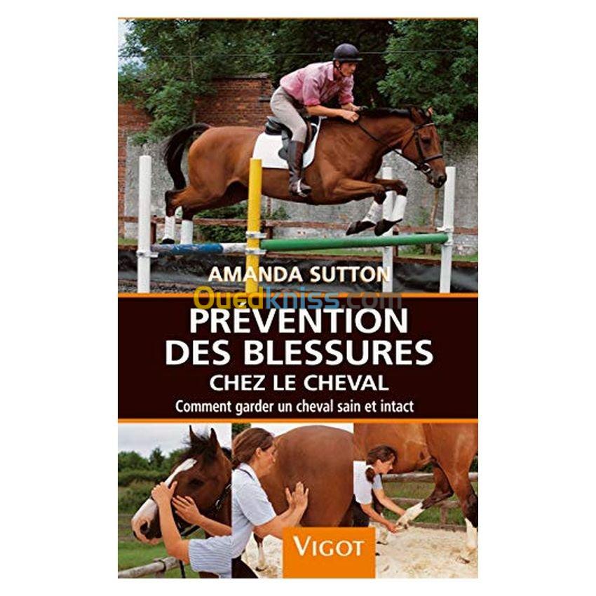 Prévention des blessures chez le cheval : Comment garder un cheval sain et intact