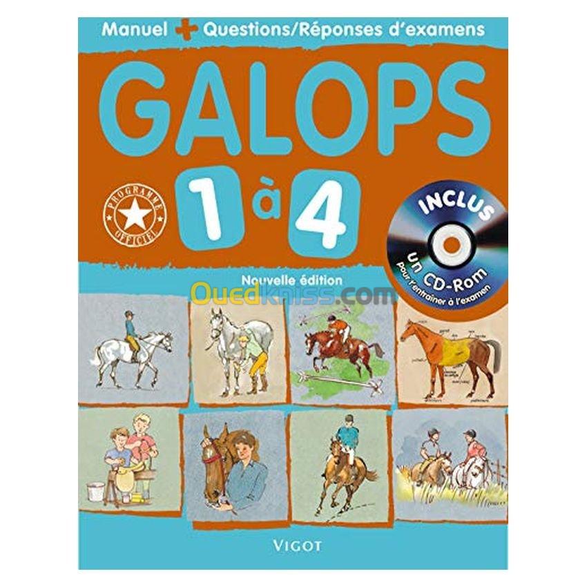 Galops 1 à 4 : Manuel + Questions/réponses d'examens (1Cédérom)