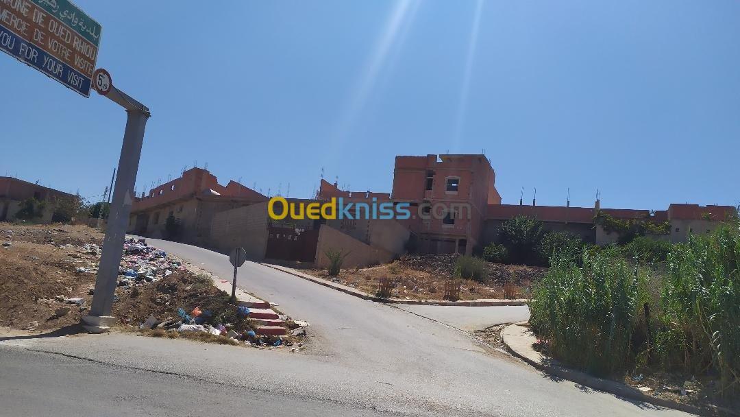 Vente Carcasse Relizane Oued rhiou