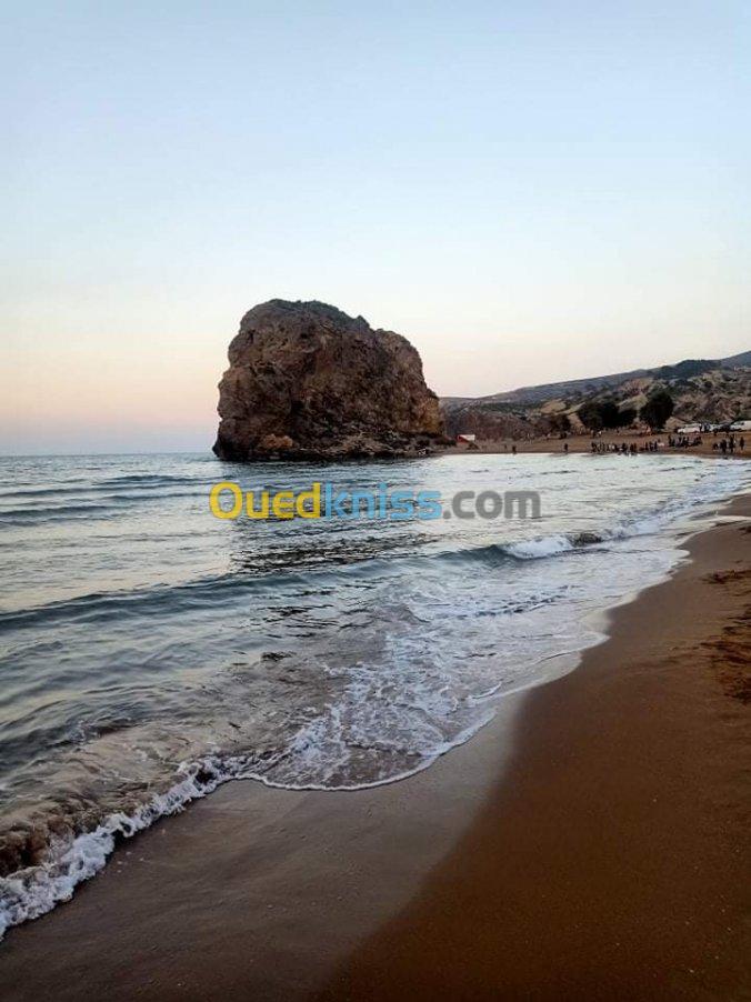 Vente Terrain Tlemcen Marsa ben mhidi