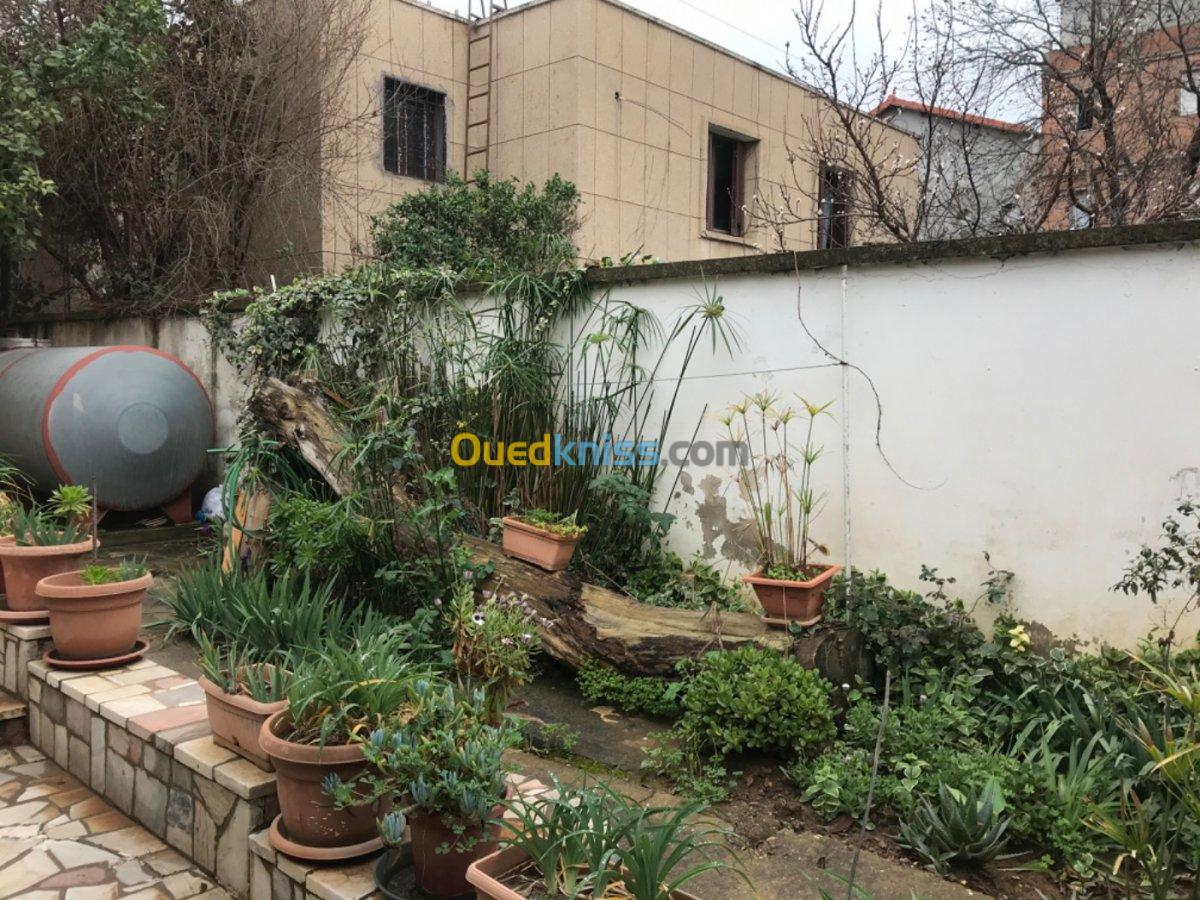 Vente Villa Alger Cheraga