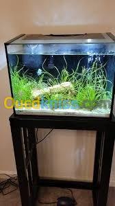 Fabrication aquarium sur mesure