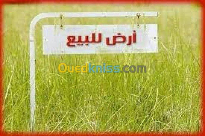 Vente Terrain Agricole Djelfa Benhar