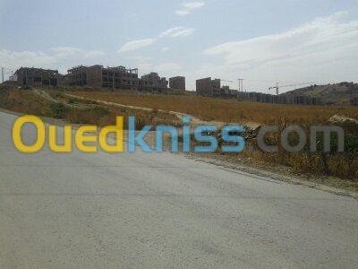 Vente Terrain Blida El affroun