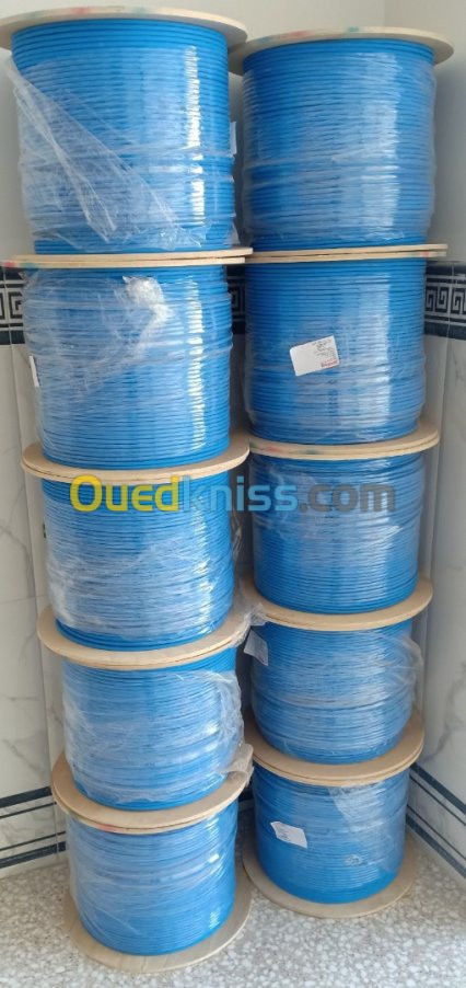 Cable FTP Cat 6 legrand