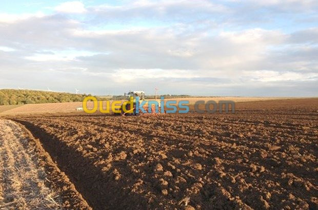 Vente Terrain Agricole Tlemcen Bensekrane