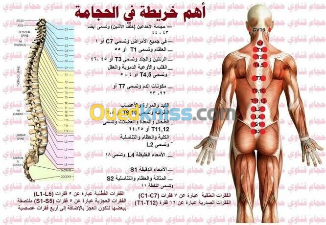 الأخصائيين في الطب بديل والرقية شرعية