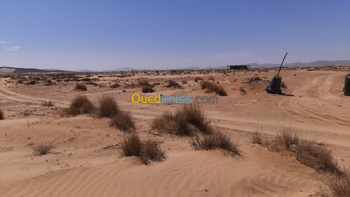 Vente Terrain Biskra El outaya