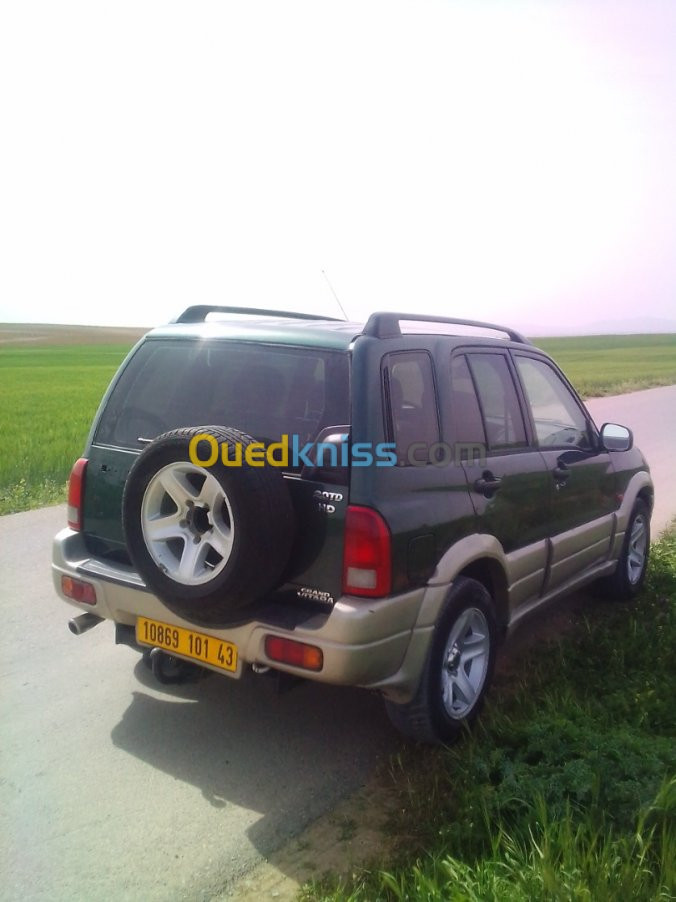 Suzuki Grand Vitara 2001 2.0HDI110 3pip