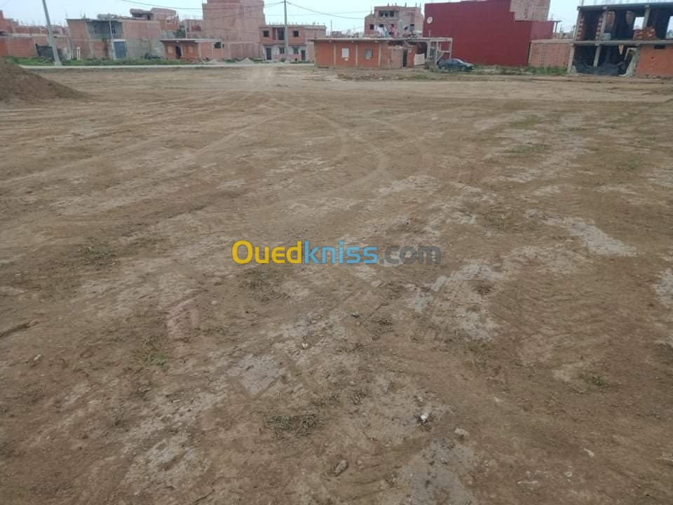 Vente Terrain Blida Ouled selama