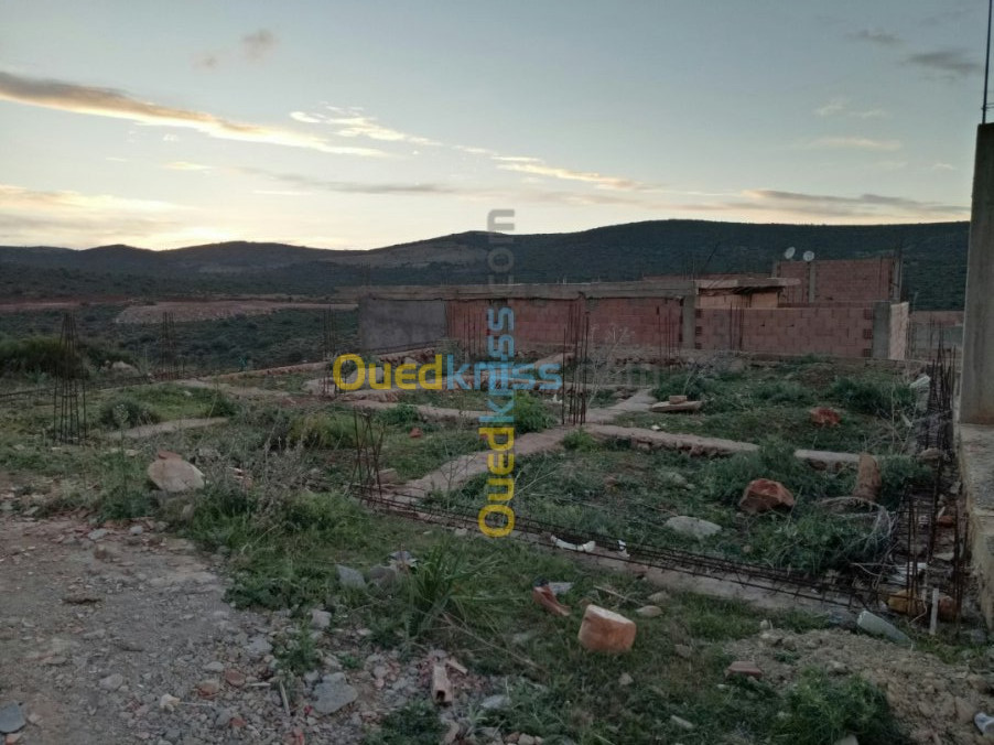 Vente Terrain Tlemcen Mansourah