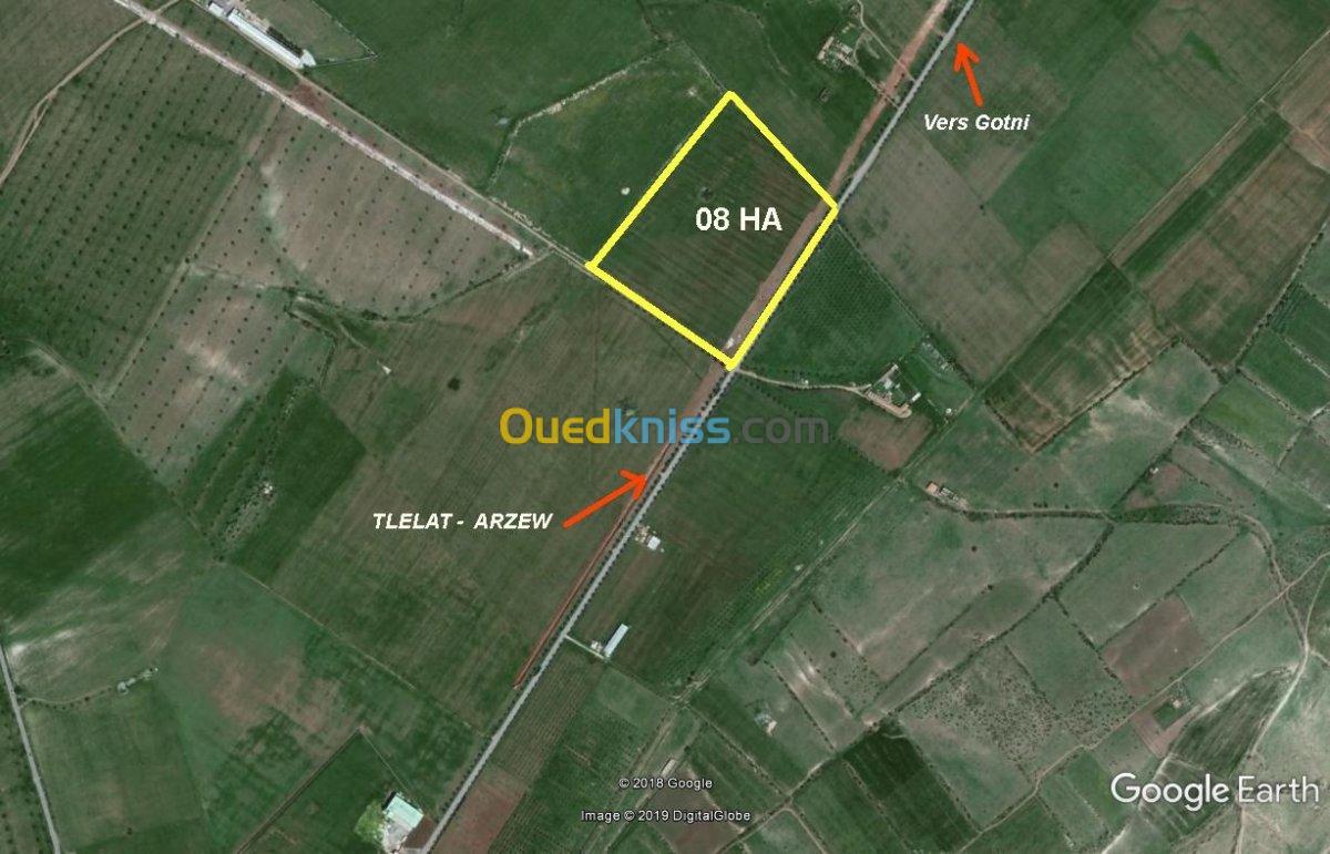 Vente Terrain Agricole Oran Boufatis