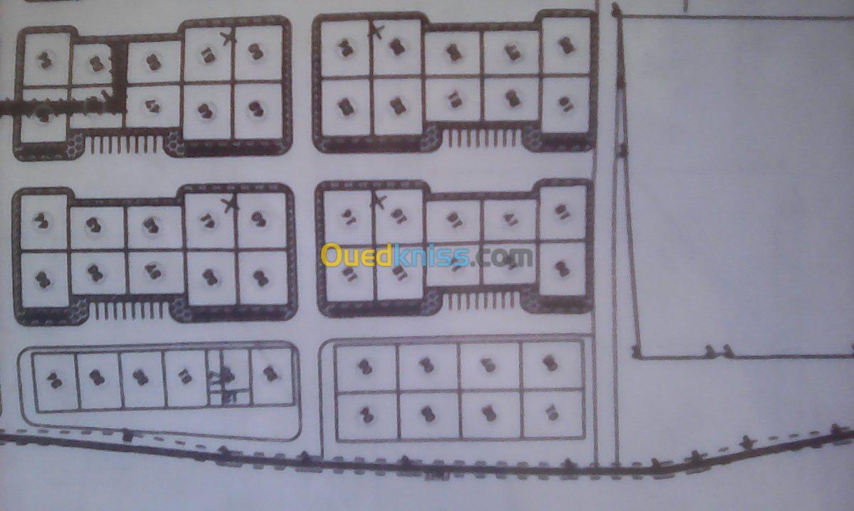 Vente Terrain Tamanrasset Tamanrasset