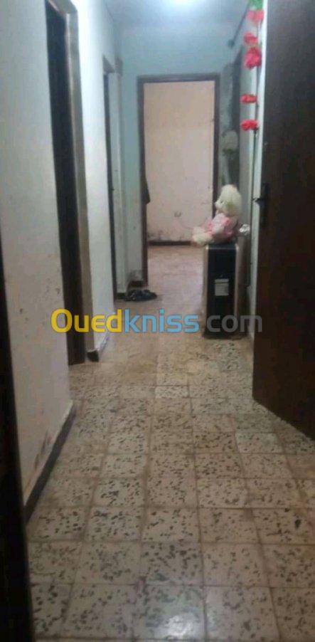 Location Appartement Mostaganem Kheireddine