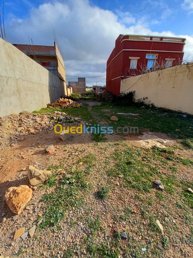 Vente Terrain Mostaganem Achaacha