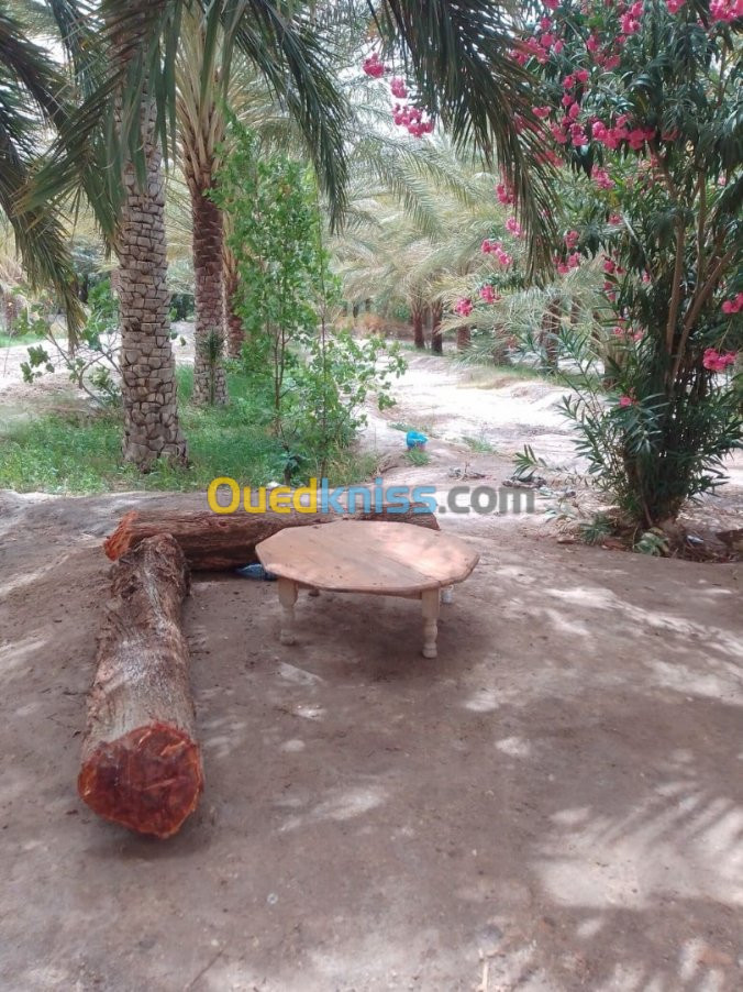 Vente Terrain Agricole Biskra Tolga