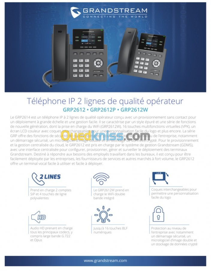 Téléphone IP PoE