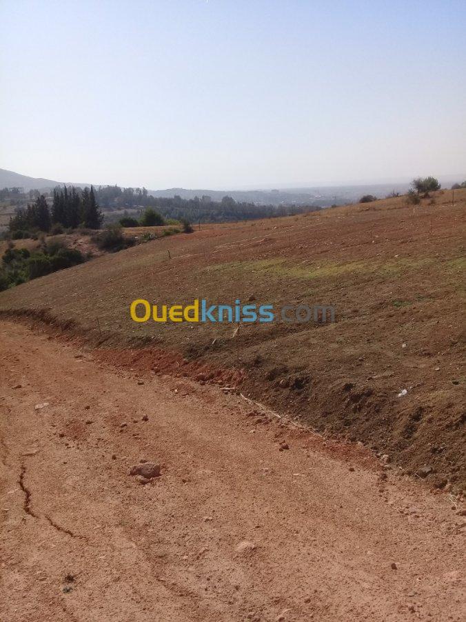 Vente Terrain Blida Bouinan