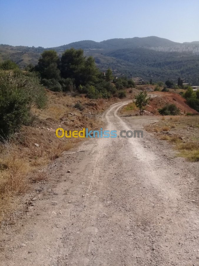 Vente Terrain Blida Bouinan