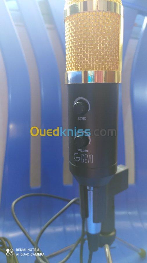 Microphone professionnel BM 800