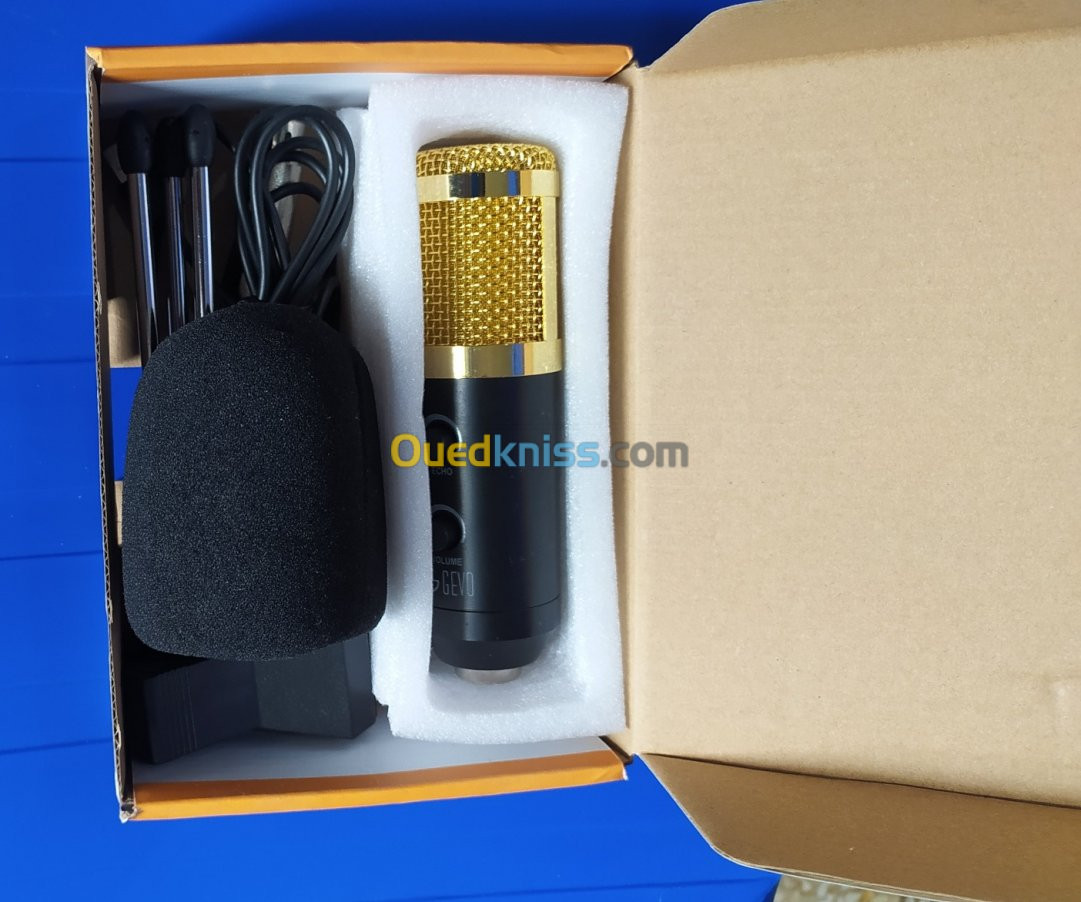 Microphone professionnel BM 800