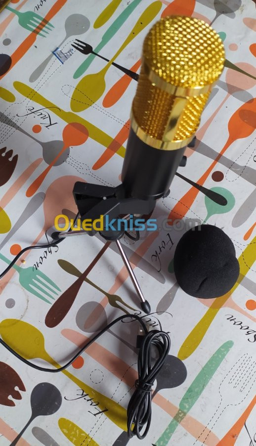 Microphone professionnel BM 800