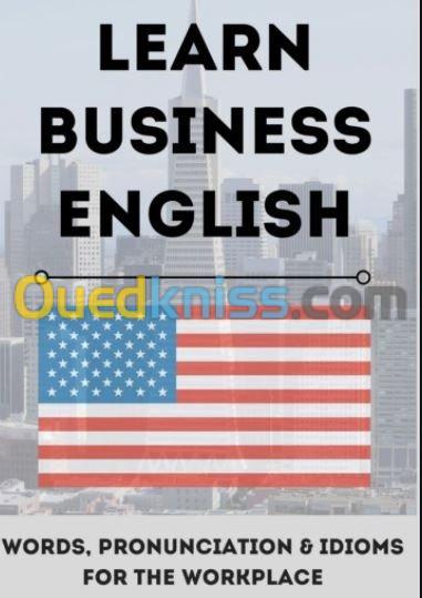 Business and Professional English 