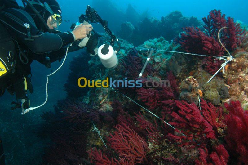 BUREAU D'ETUDE ENVIRONNEMENT