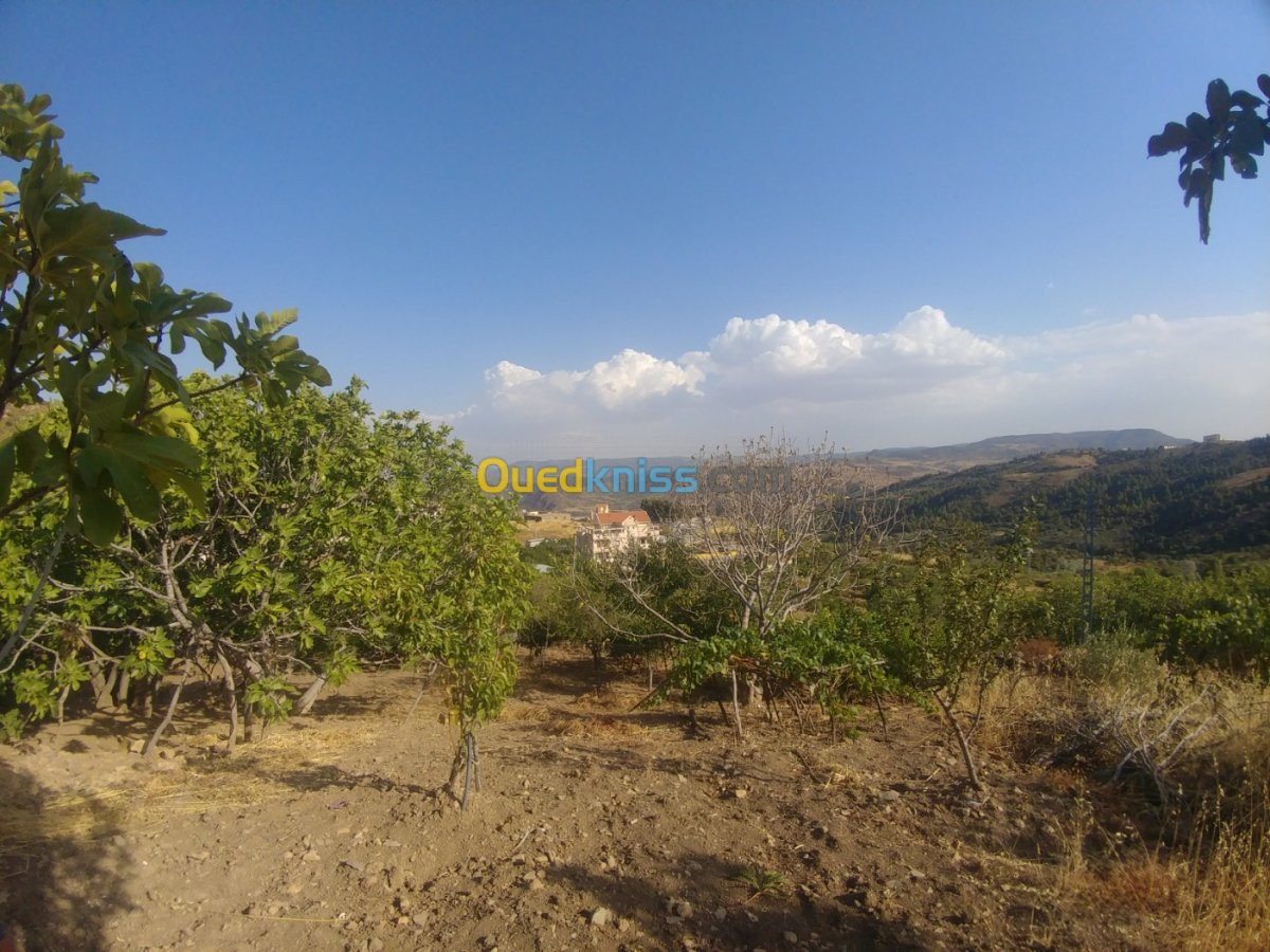 Vente Terrain Setif Beni ouartilene