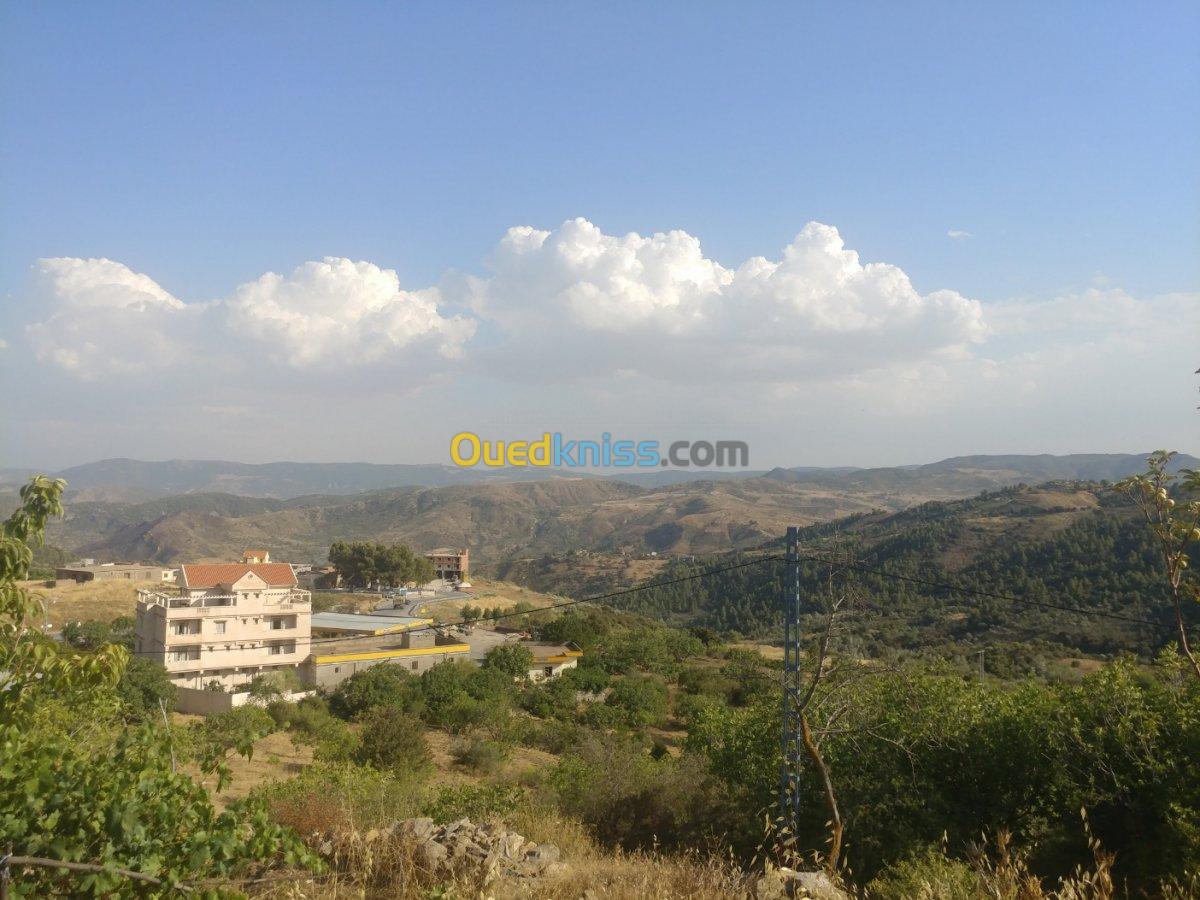 Vente Terrain Setif Beni ouartilene