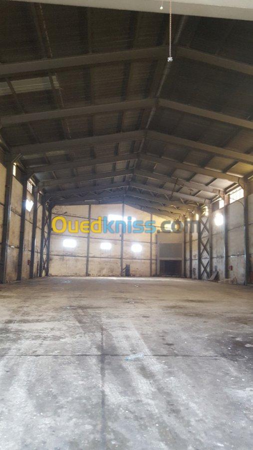 Location Hangar Annaba Annaba