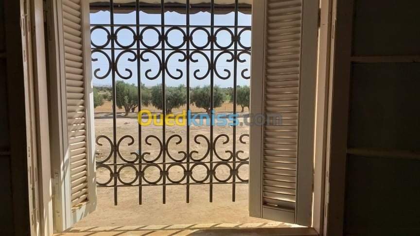 Vente Appartement F3 Sidi bel abbes Lamtar