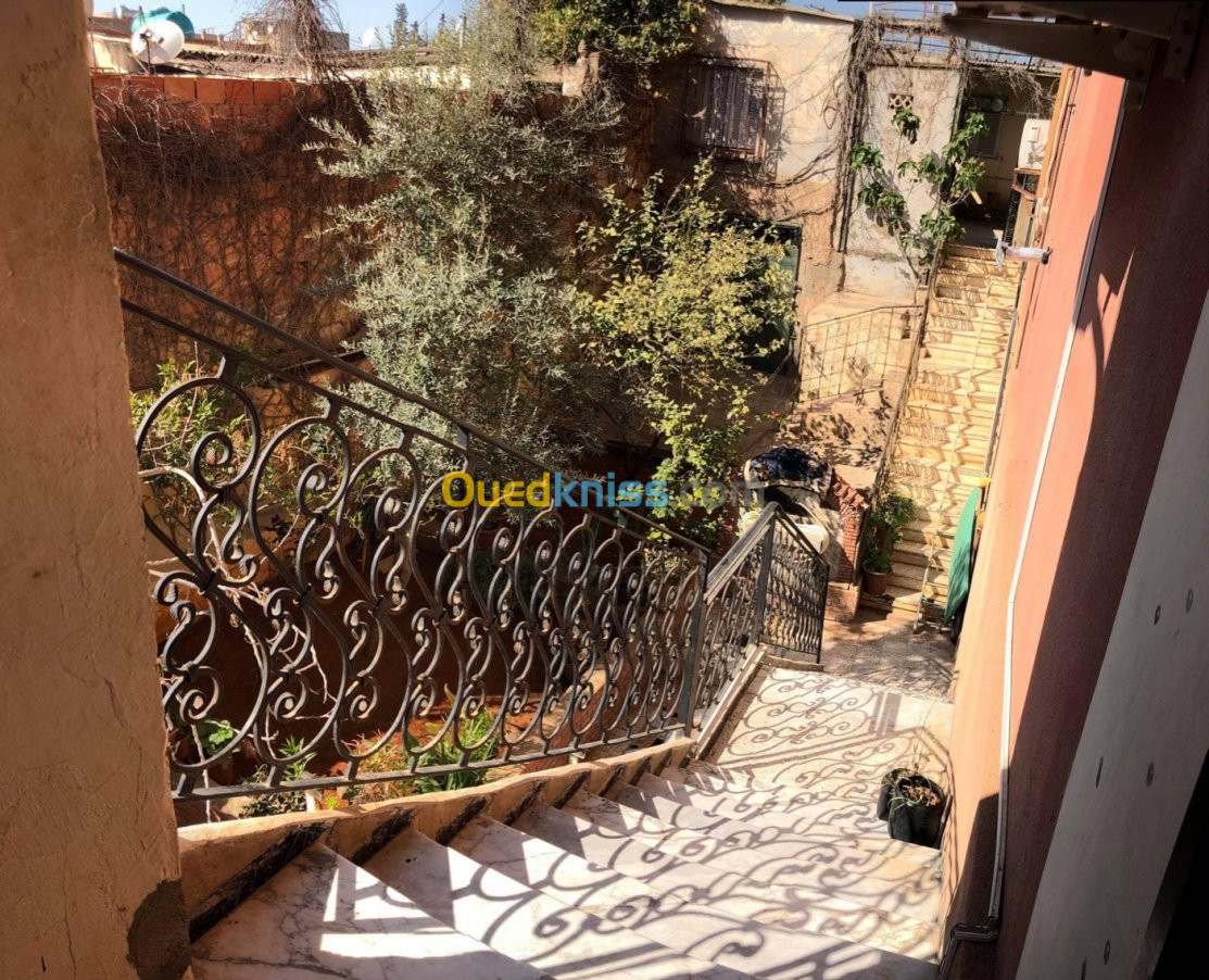 Vente Villa Chlef Chlef