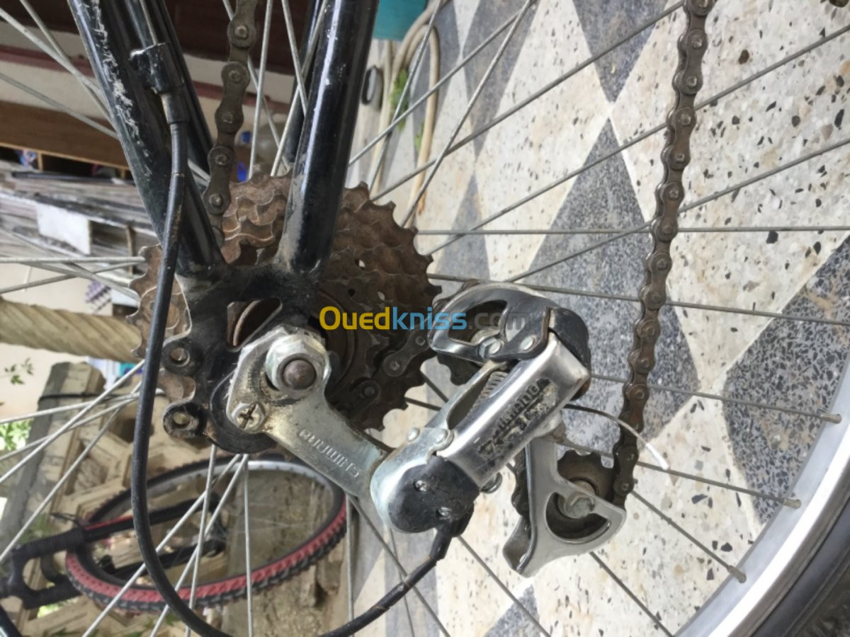 Vends 2 vélos france 