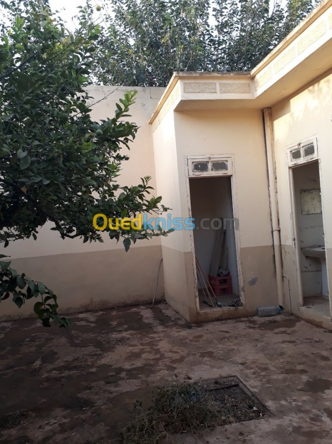 Vente Villa Tlemcen Chetouane