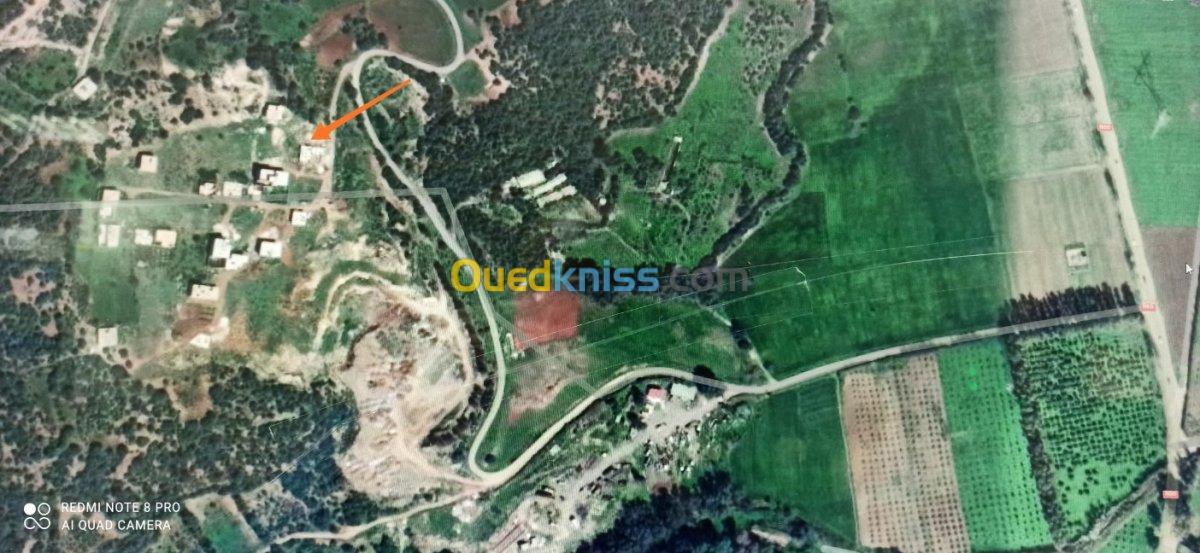 Vente Terrain Tipaza Sidi amar Tipaza Algérie