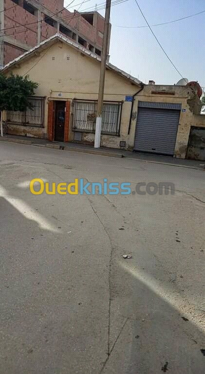 Vente Villa Chlef Oued fodda