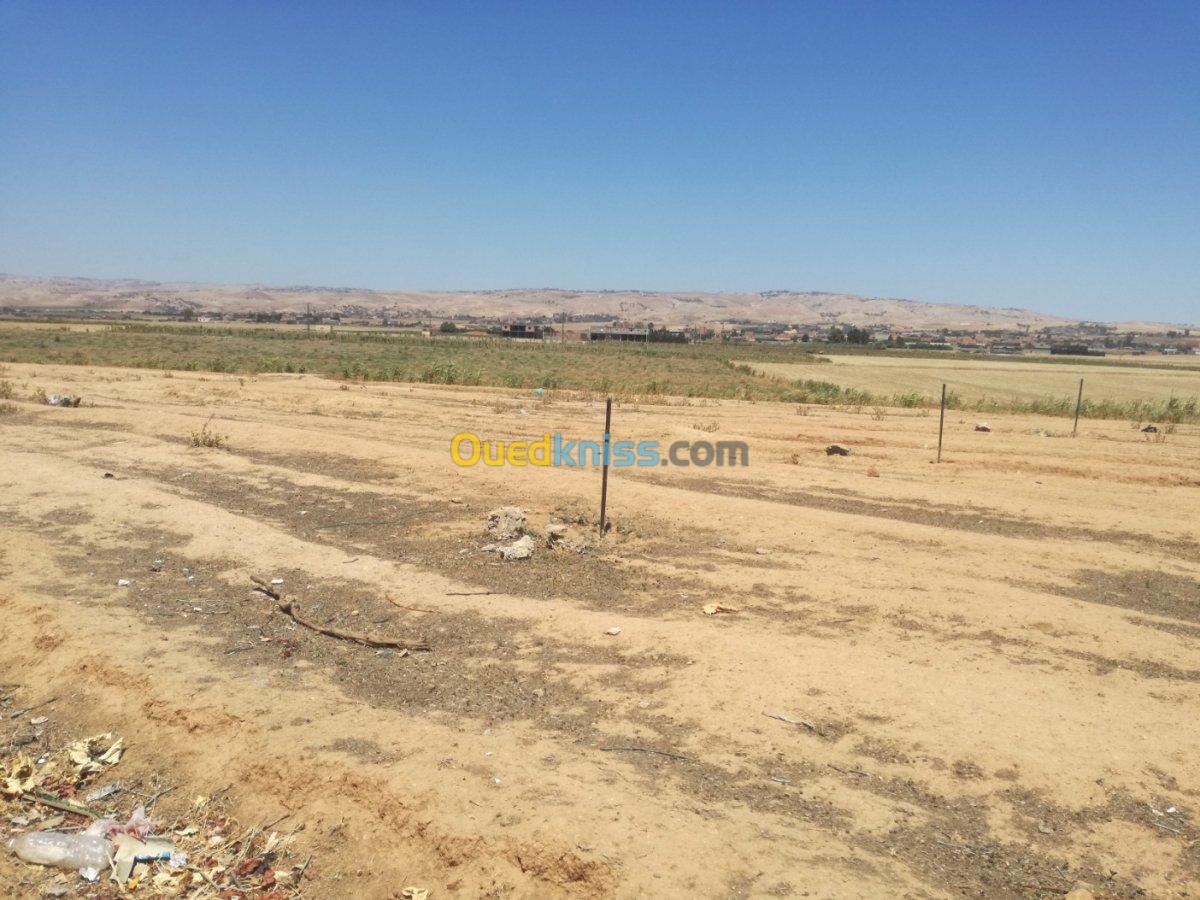 Vente Terrain Chlef Sobha