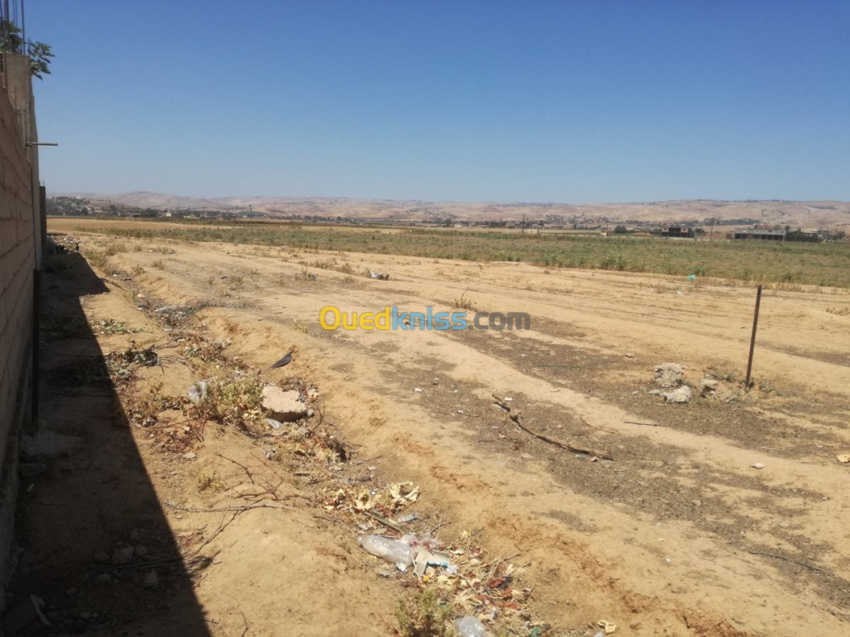 Vente Terrain Chlef Sobha