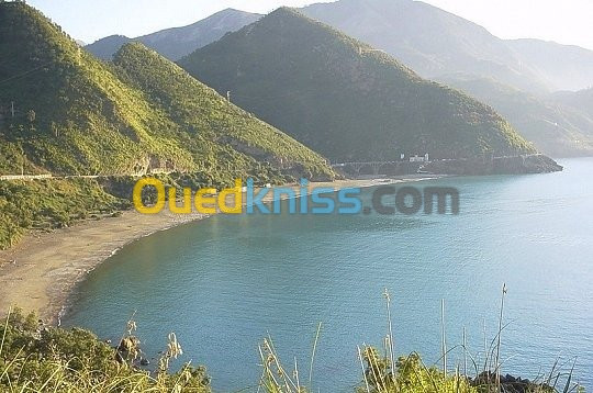 Vente Terrain Jijel Ziama mansouriah