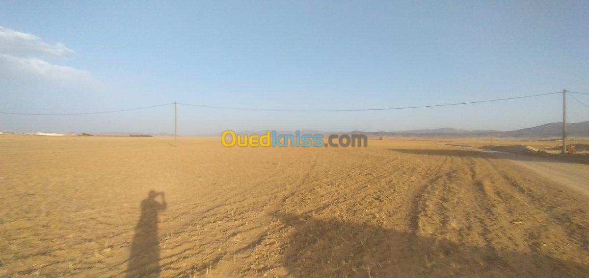 Vente Terrain Agricole Batna Seriana